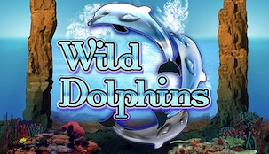 Wild Dolphins