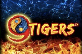 9 Tigers