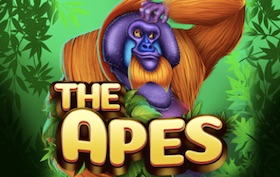 The Apes