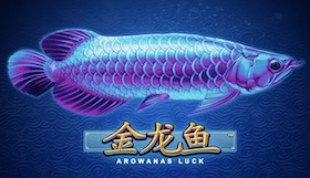 Arowanas Luck