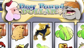 Dog Pound Dollars