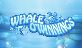 Whale O' Winnings